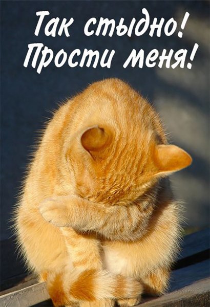 Прости меня