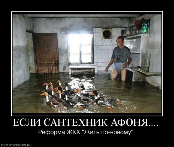 Сантехника юмор