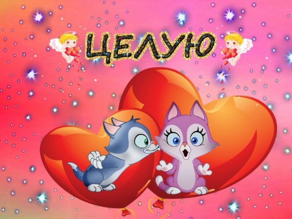 Целую тебя