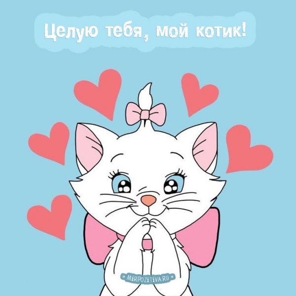 Открытки с котиками любимому