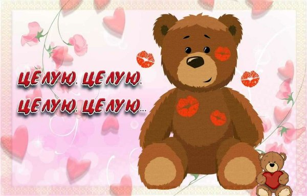 Люблю целую
