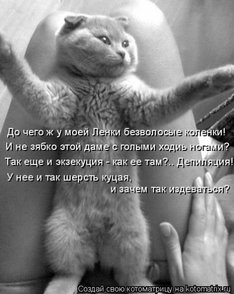 Статусы про ленку