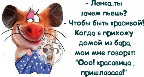 Смешные высказывания про ленку