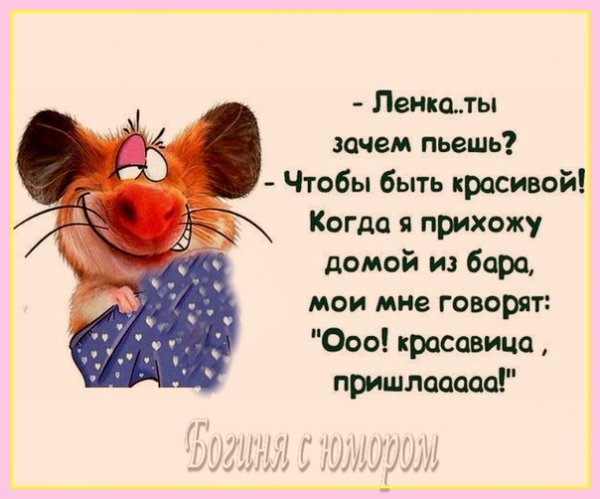 Анекдоты про ленку в картинках