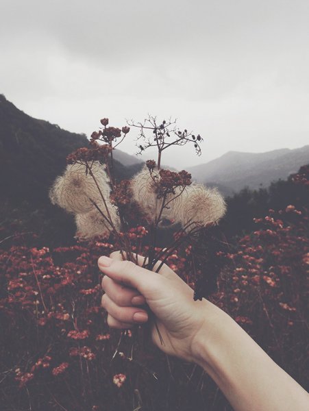 Авы Эстетика природа