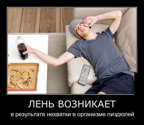 Демотиваторы про бездельников