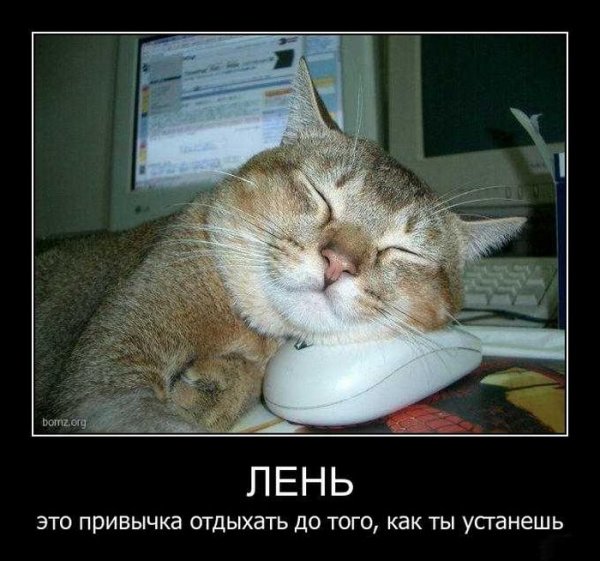 Приколы про лень