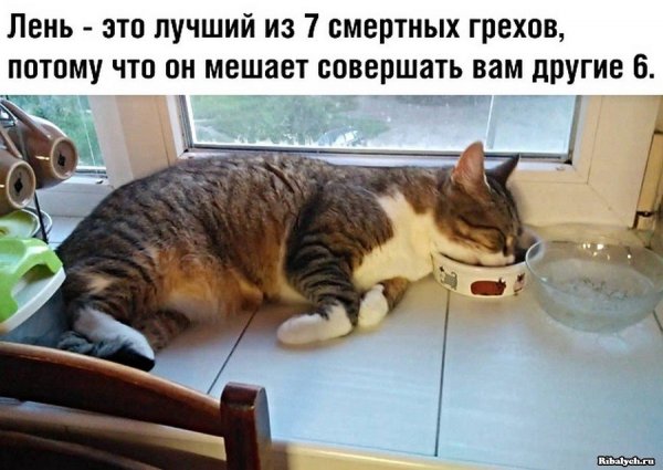 Лень картинки смешные