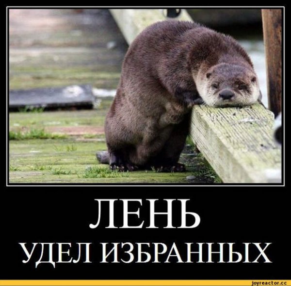 Шутки про лень
