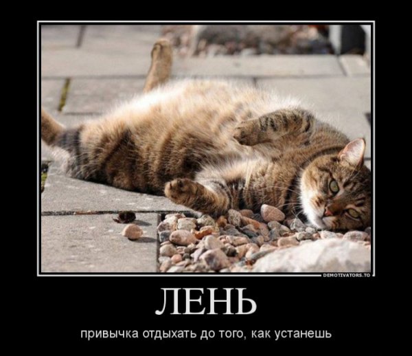 Демотиваторы про лень