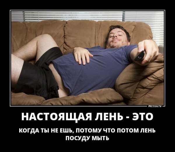 Шутки про ленивых