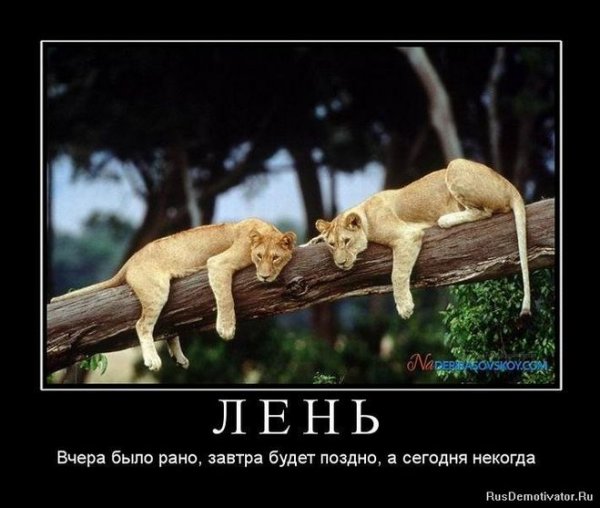 Демотиваторы про лень