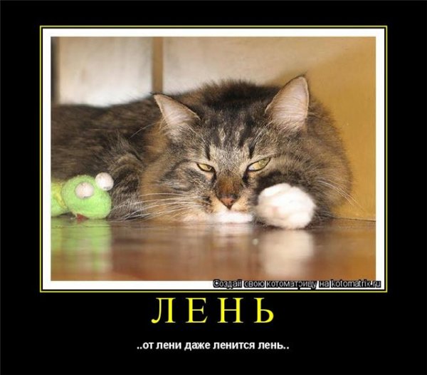 Лень картинки
