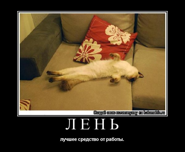 Демотиваторы смешные про животных