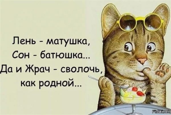 Интересные высказывания для поднятия настроения