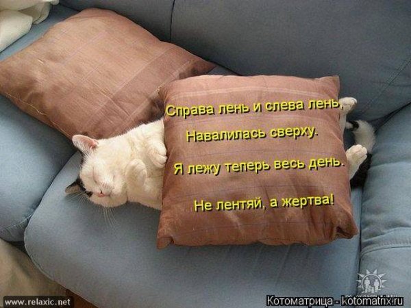 Когда лень картинки