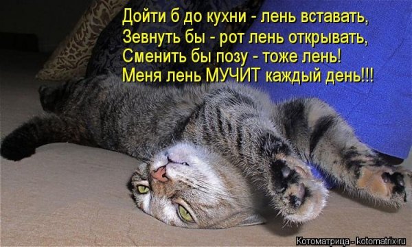 Стих про лентяя