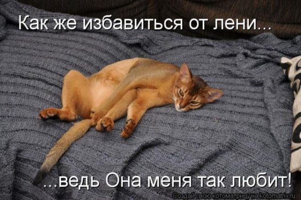 Всемирный день лени