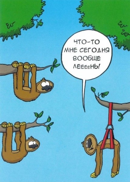 Шутки про лень