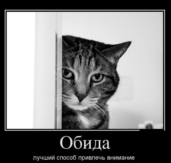 Демотиватор про обиженных