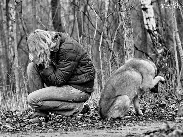 Человек обижает животных