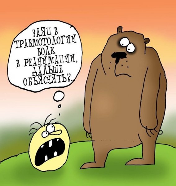 Анекдоты про колобка