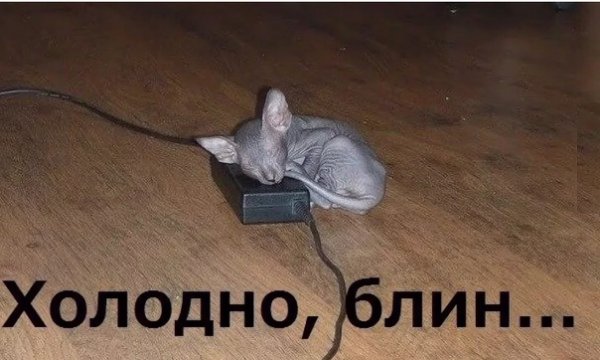 Холодно прикол