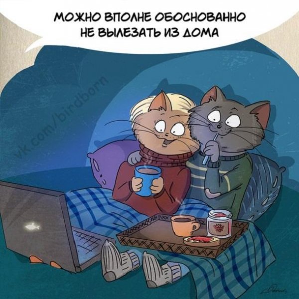 Bird born иллюстрации