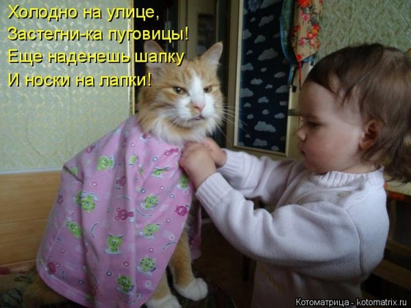 Котоматрица Главная