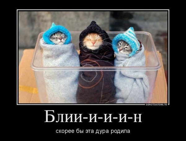 Демотиваторы про холод