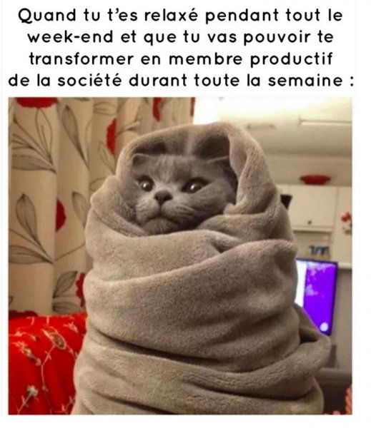 Холодно прикол
