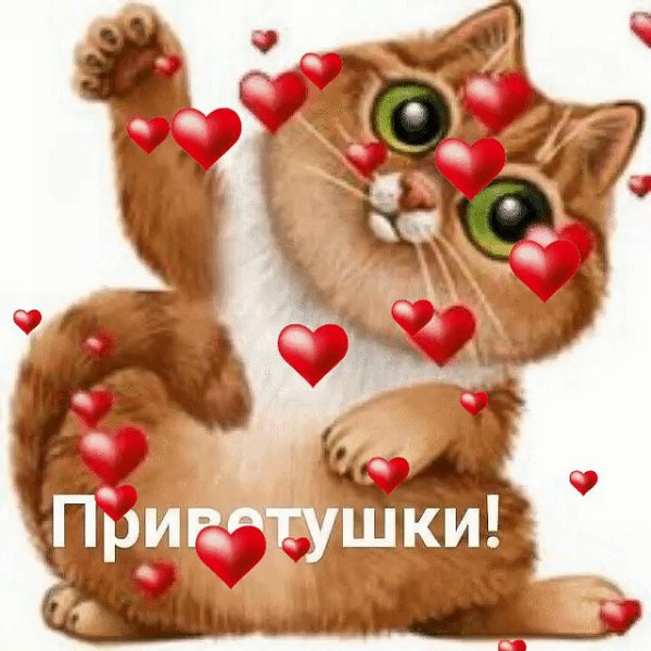 Стикеры красивые и живые