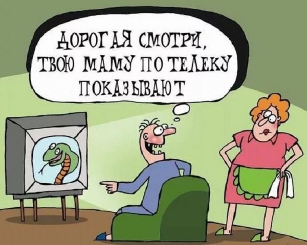 Анекдоты про тёщу смешные