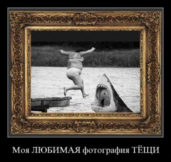 Юмор в картинках и фотографиях