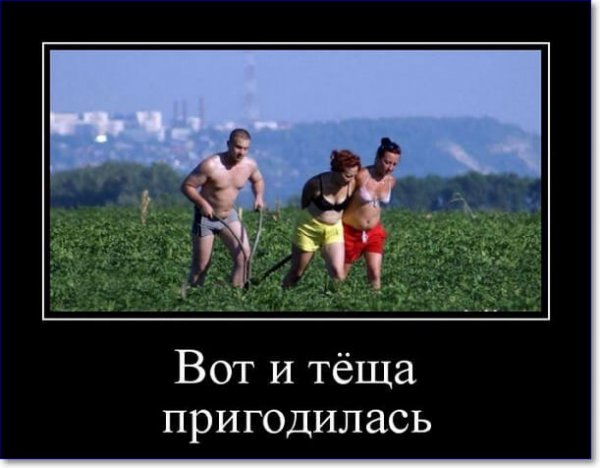 Демотиваторы про тещу
