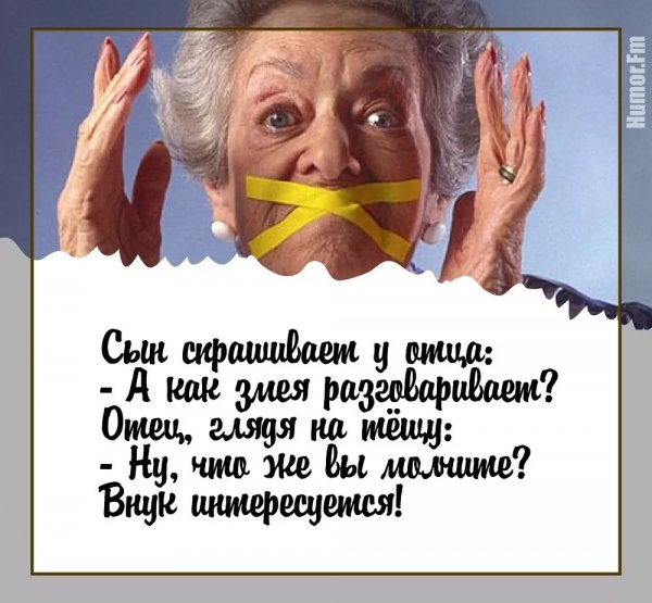 Анекдот про тещу и зятя