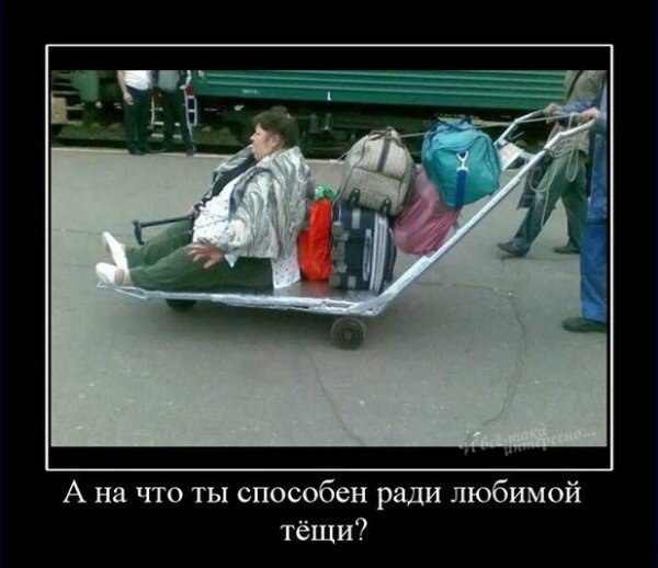 Смешные демотиваторы про тещу
