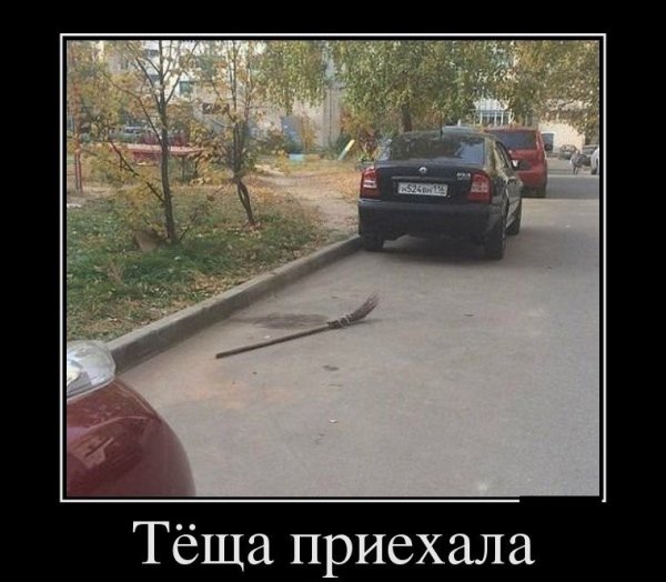 Демотиваторы про тещу