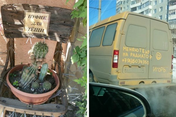 Тёща фото приколы