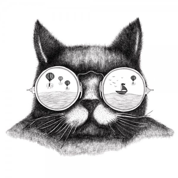 Кот в очках