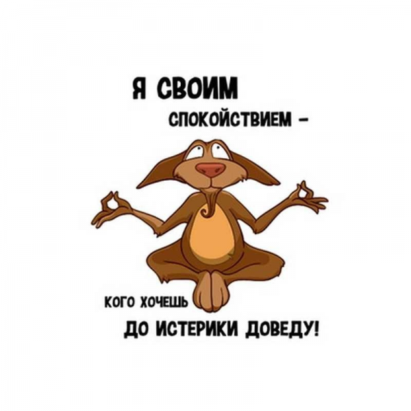 Спокойствие прикол