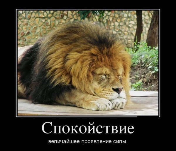 Спокойствие демотиватор