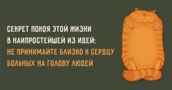 Цитаты про спокойствие смешные