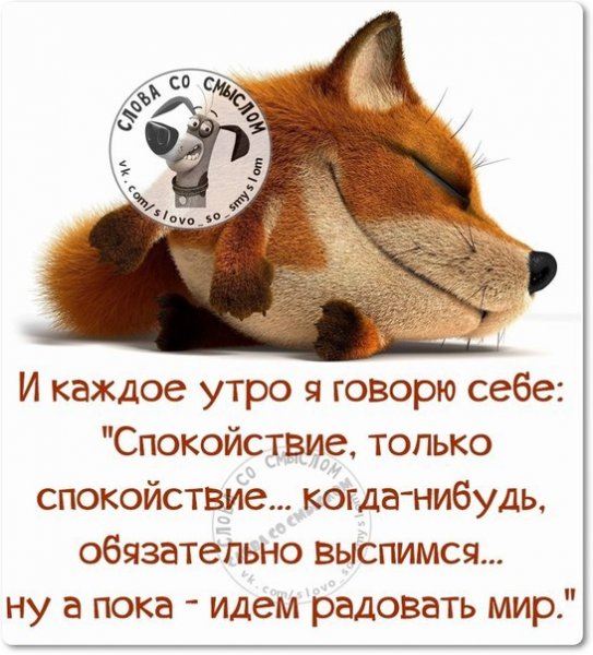Прикольные фразы