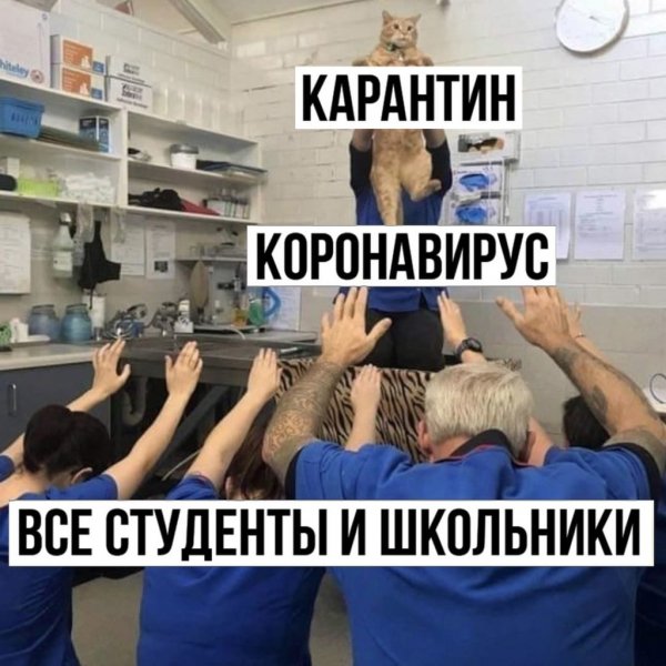 Смешные мемы про карантин