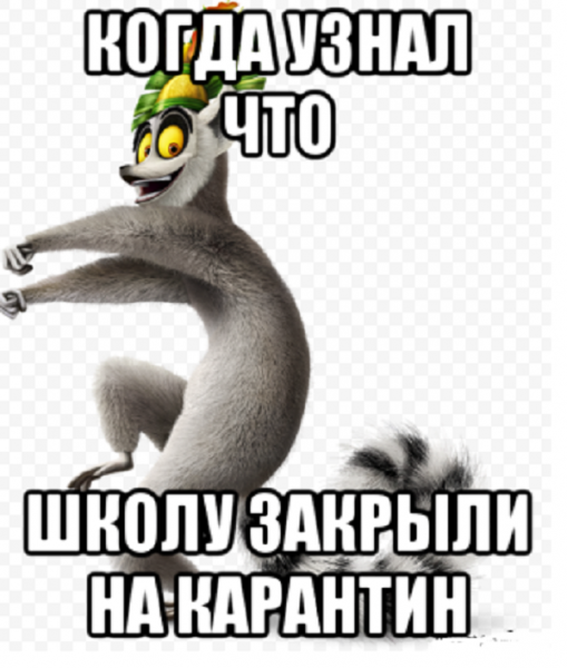 Мемы про карантин в школе