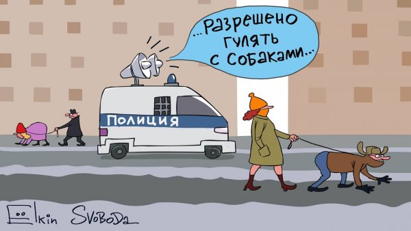 Самоизоляция карикатура