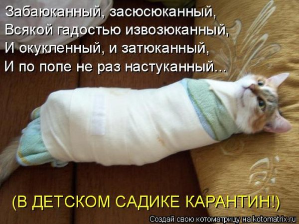Приколы про карантин