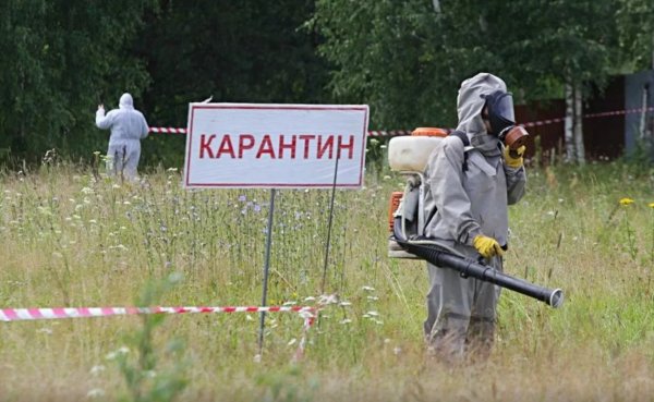Карантин табличка