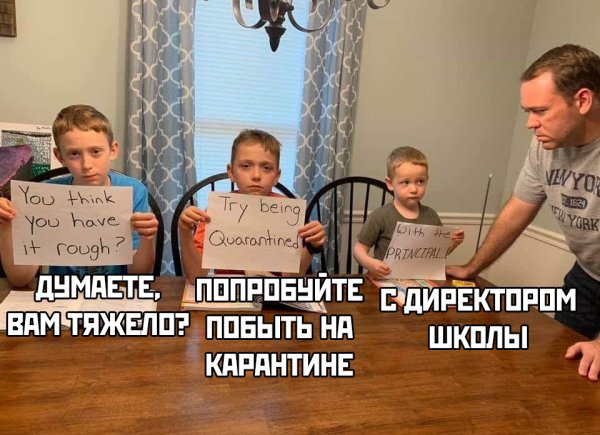 Приколы про учебу в школе